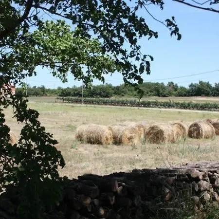 Villa Vodnjan Tatil Evi