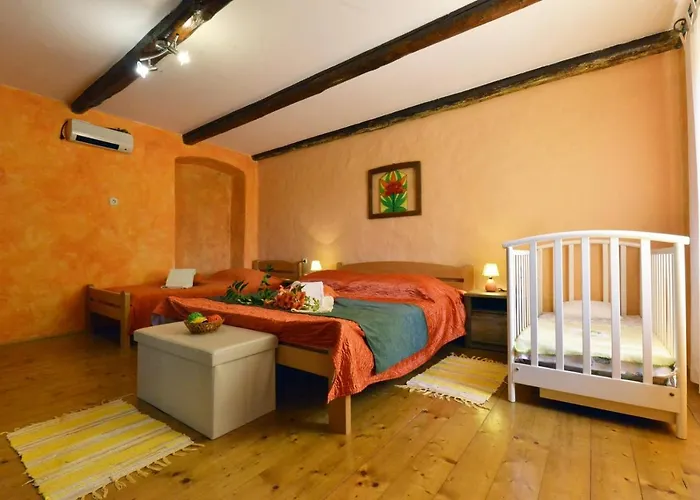 度假居 Villa Vodnjan